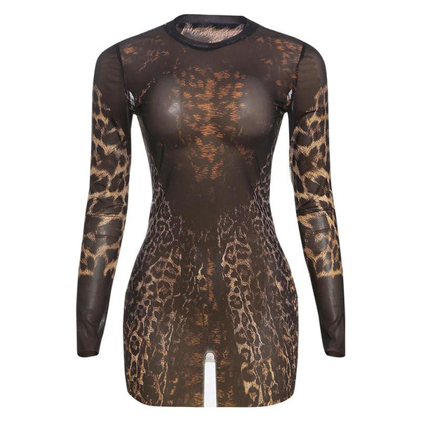 Crewneck long sleeve leopard print mesh mini dress